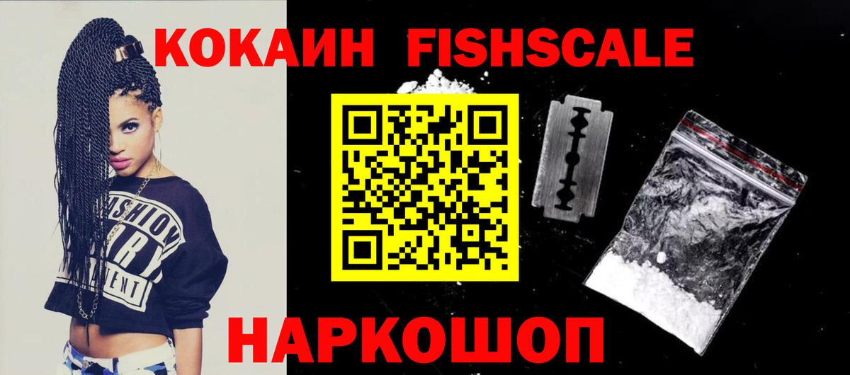 КОКАИН Fish Scale  купить наркоту  Камышлов  Cocaine 97%  Вход с VPN 