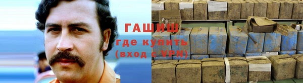 apvp Алексин
