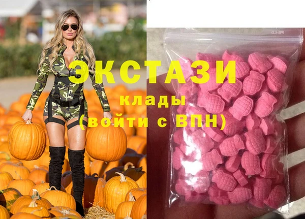 индика Алзамай