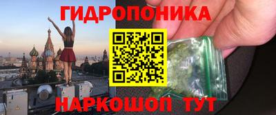 a pvp Кингисепп