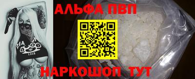 a pvp Кингисепп