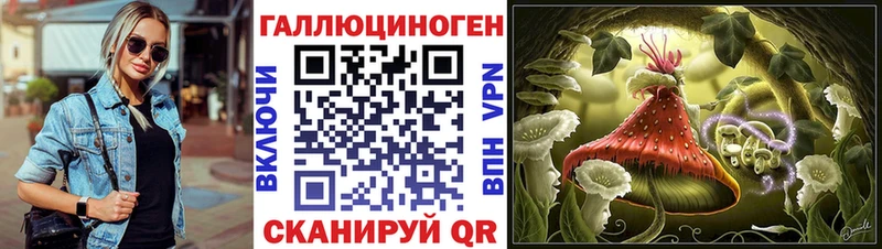 наркотики  Камышлов  Галлюциногенные грибы Cubensis 