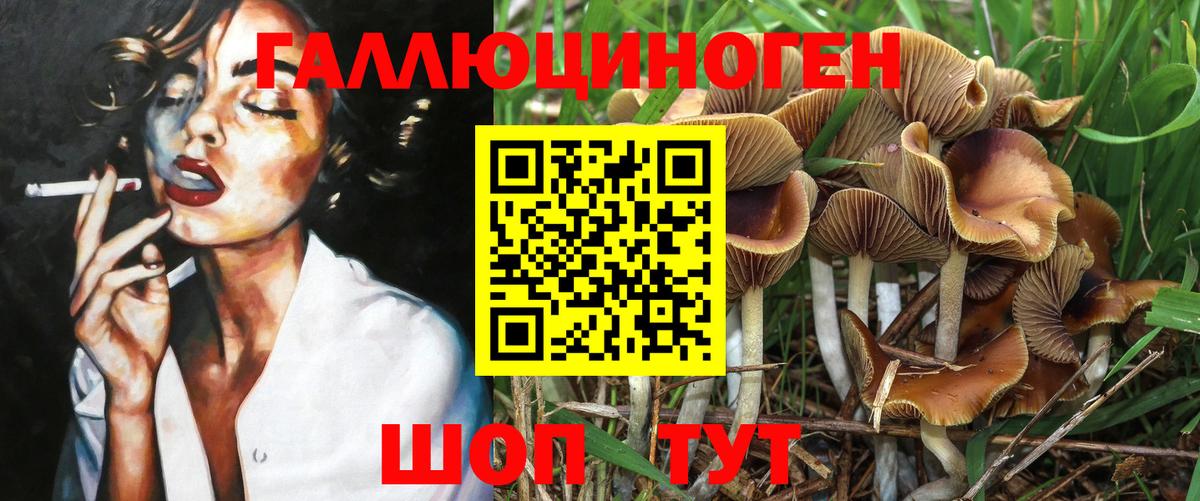 Камышлов  Галлюциногенные грибы ЛСД  Вход с VPN 